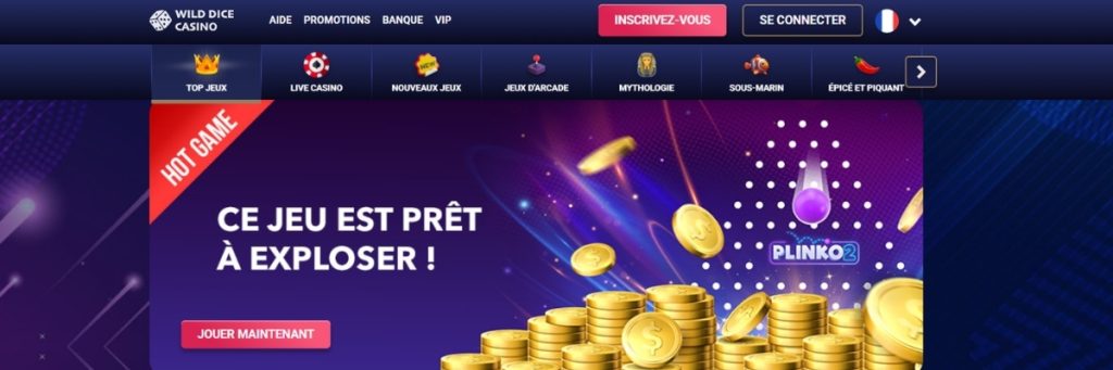 Wild Dice Casino en Ligne
